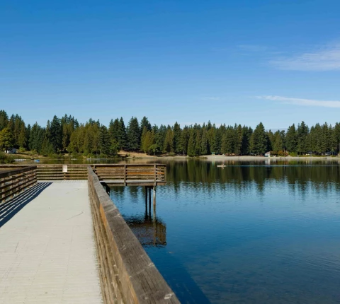 Arden Acres Thumbnail Image