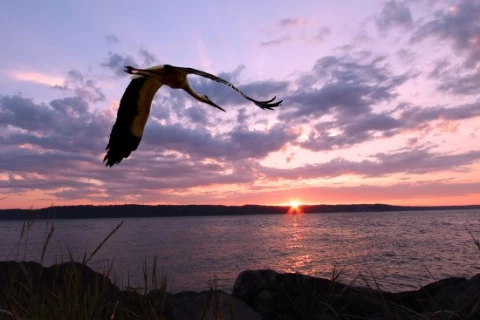 Harbor Grove I Thumbnail Image