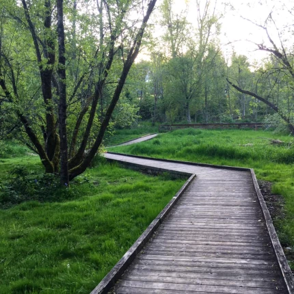 Lauren Lane Thumbnail Image