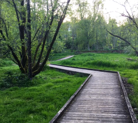 Lauren Lane Thumbnail Image