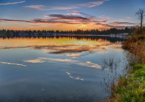 Sycamore Village Thumbnail Image