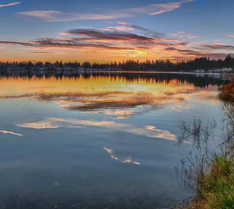 Sycamore Village Thumbnail Image